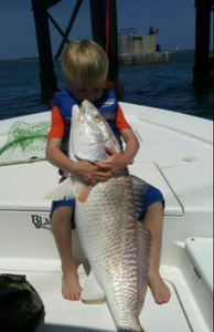 Port Aransas Redfish Angling Bliss